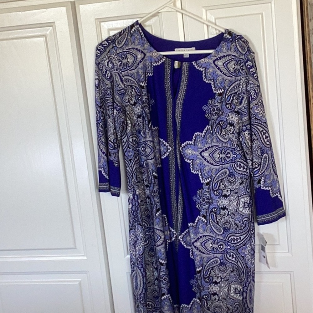 NWT Sandra Darren dress